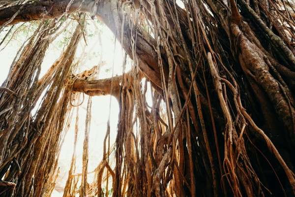 pexels-cottonbro-4430313-1